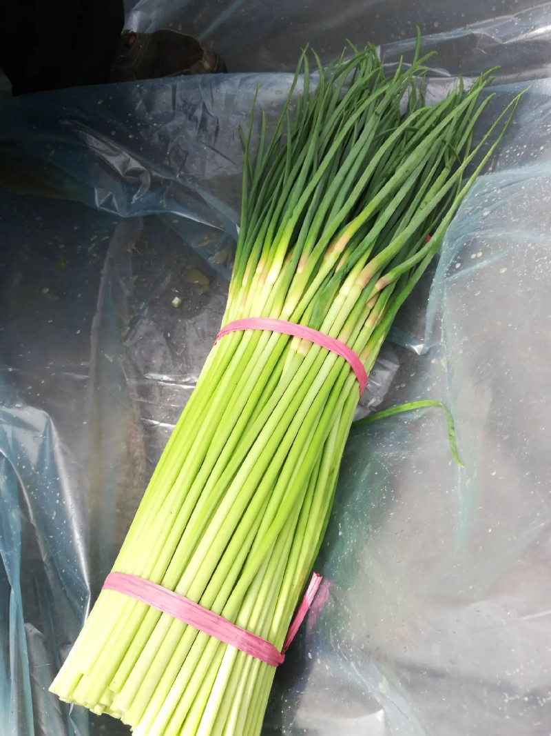 【优选】红帽蒜苔蒜薹现货对接市场电商商超
