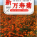 新万寿菊种子臭芙蓉万寿灯蜂窝菊臭菊花蝎子菊金菊花春秋播种