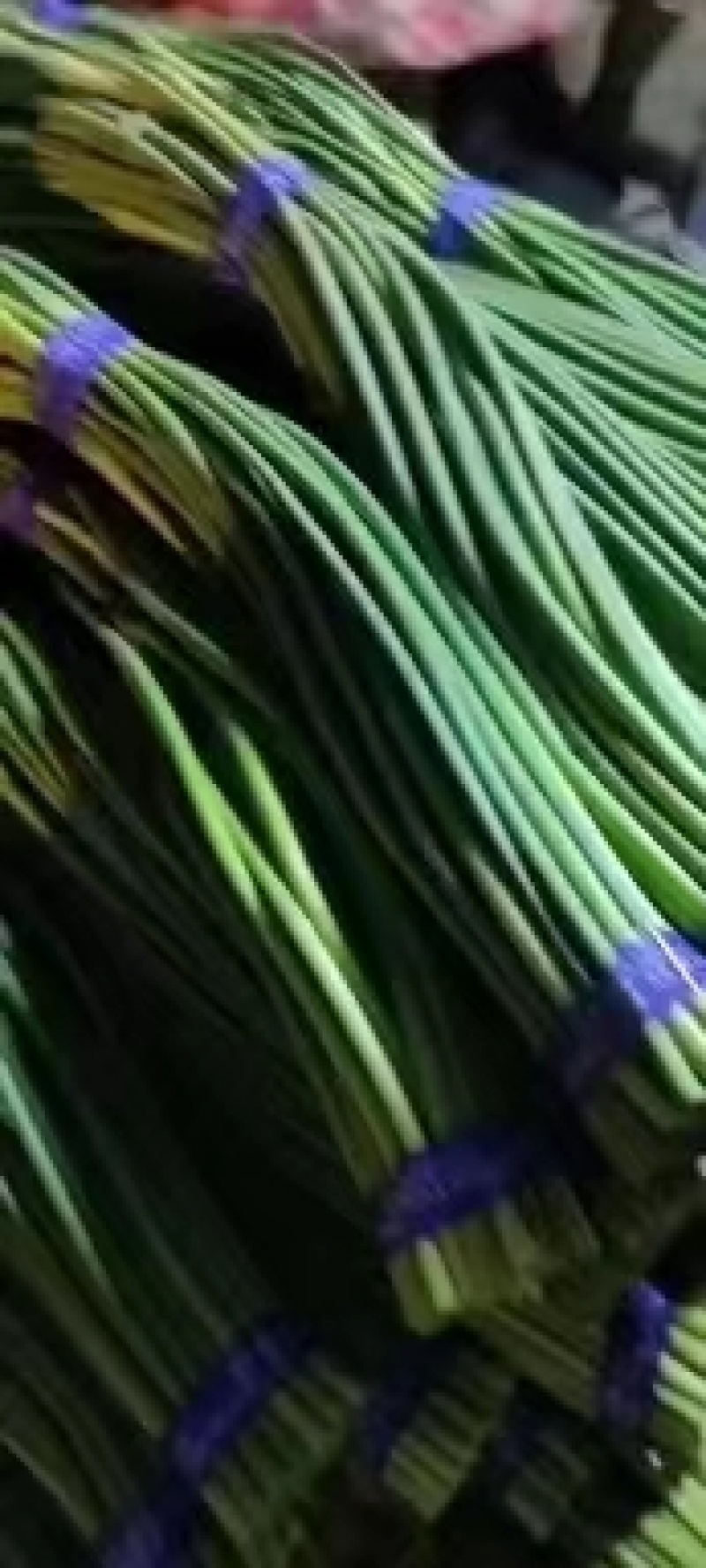 【优选】红帽蒜苔蒜薹现货对接市场电商商超