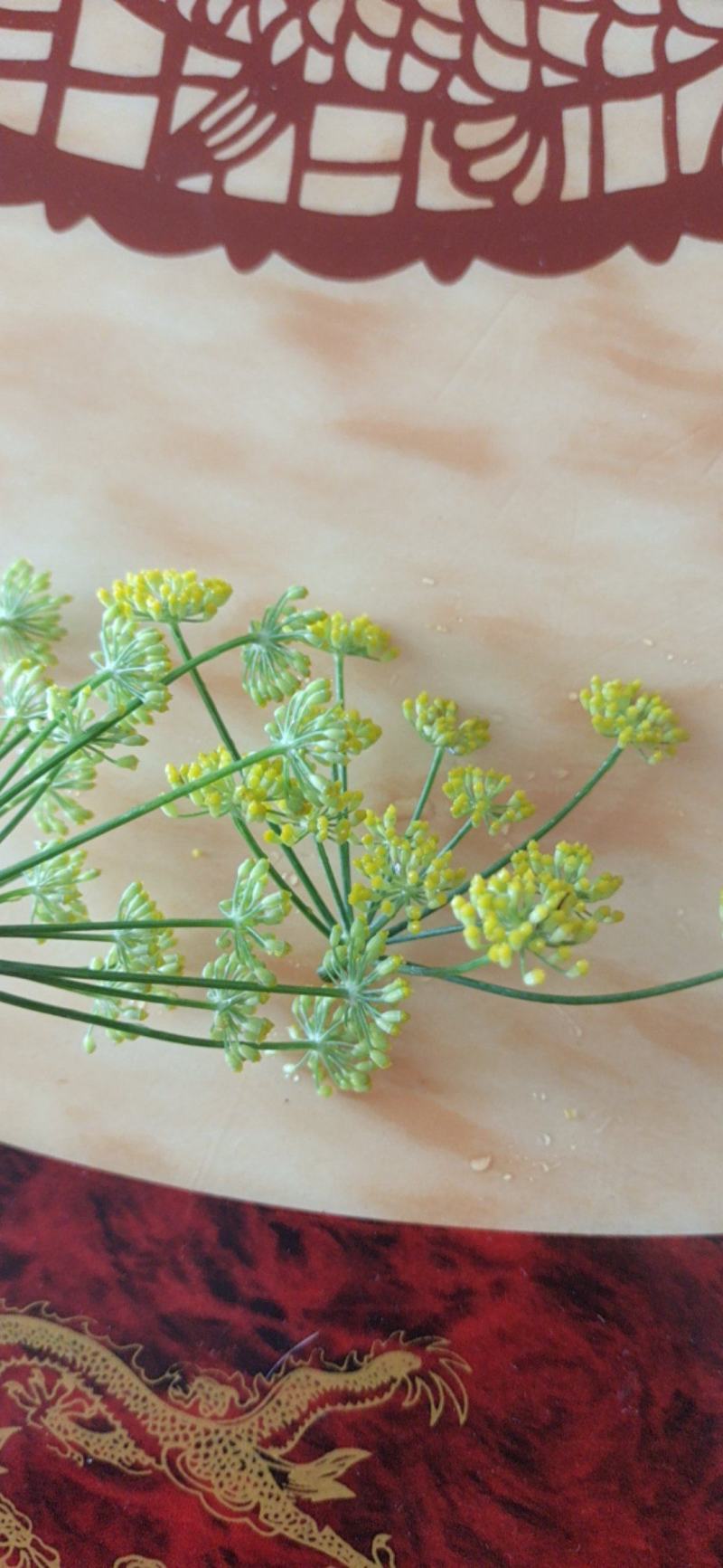 葵花茶