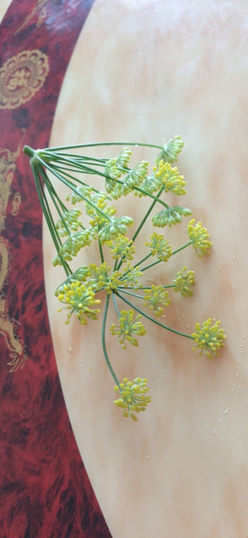 葵花茶