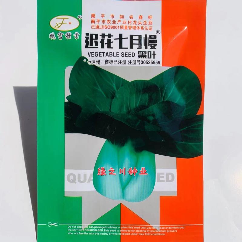 晓富迟花七月慢黑叶菜种子耐寒性强青菜种子全国各地种植菜