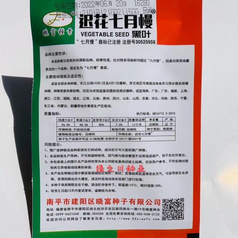 晓富迟花七月慢黑叶菜种子耐寒性强青菜种子全国各地种植菜