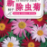 除虫菊种子驱蚊驱虫菊花种子多年生混色花种子四季易活盆栽