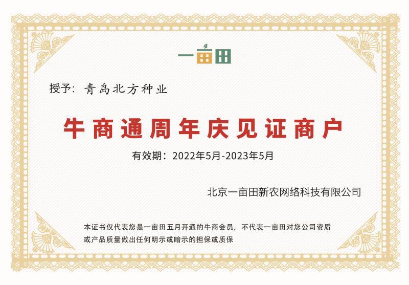 越冬王精品越冬大白菜杂交一代种子菜基地品种