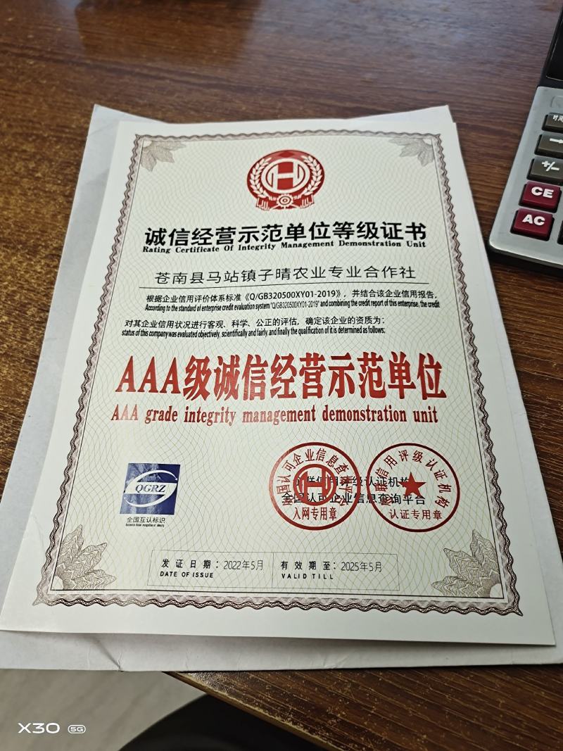 温州小果电商货西红柿精品西红柿份上市销售，产品质量上乘