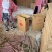 鲜辣椒
