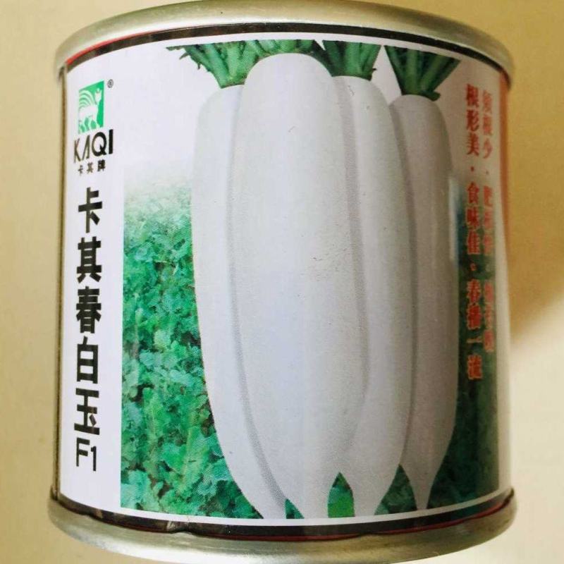 春白玉白萝卜种子脆甜水果萝卜种籽春季秋季田园蔬菜种孑易种