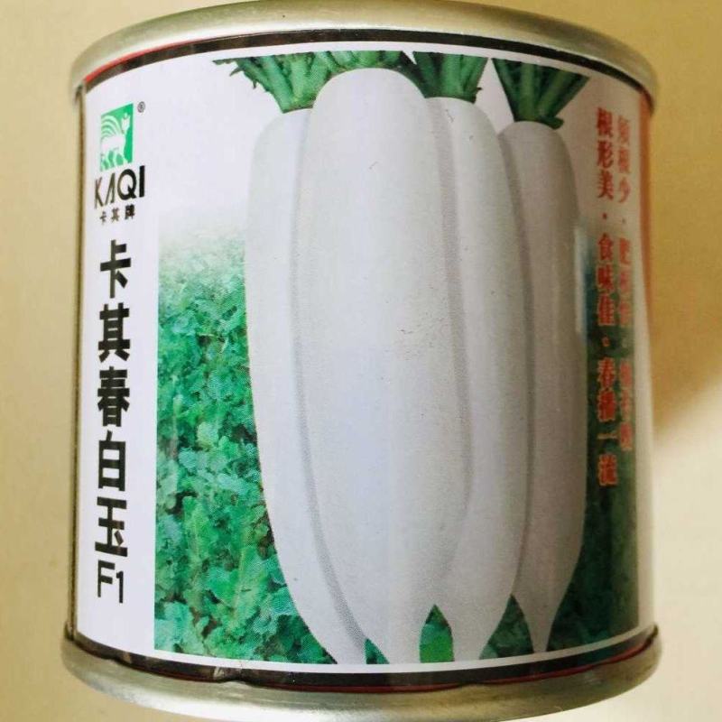 春白玉白萝卜种子脆甜水果萝卜种籽春季秋季田园蔬菜种孑易种