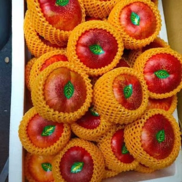 陆地黄油桃，黄金蜜，金秀蜜，油蟠桃品种齐全质量好品种齐全