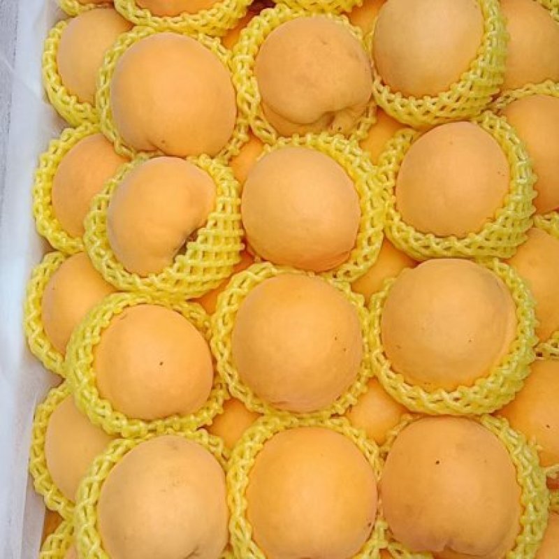 陆地黄油桃，黄金蜜，金秀蜜，油蟠桃品种齐全质量好品种齐全