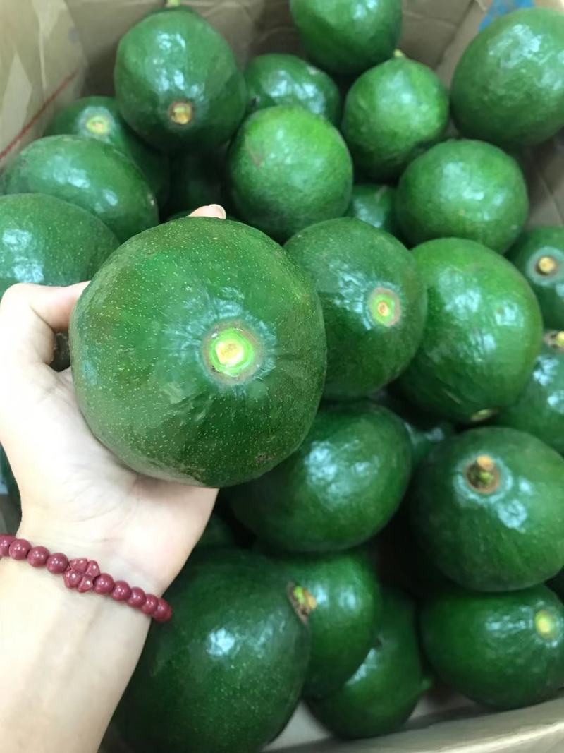 牛油果，哈斯牛油果新鲜水果整箱批发鳄梨营养辅食大果