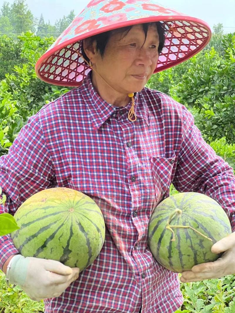 8424大棚麒麟西瓜皮薄瓤红，口感甜，水份足，欢迎订购