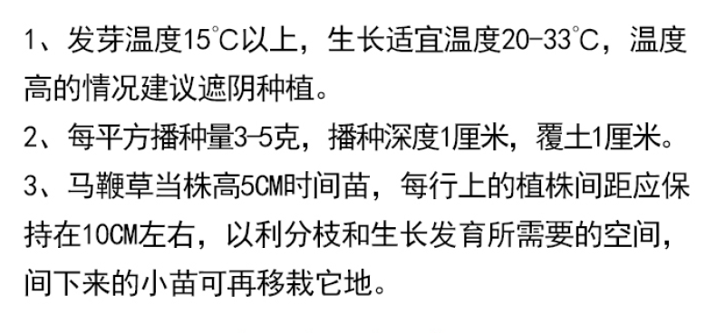 柳叶马鞭草种子四季种植多年生花卉庭院景观园林花海种子