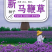 柳叶马鞭草种子四季种植多年生花卉庭院景观园林花海种子