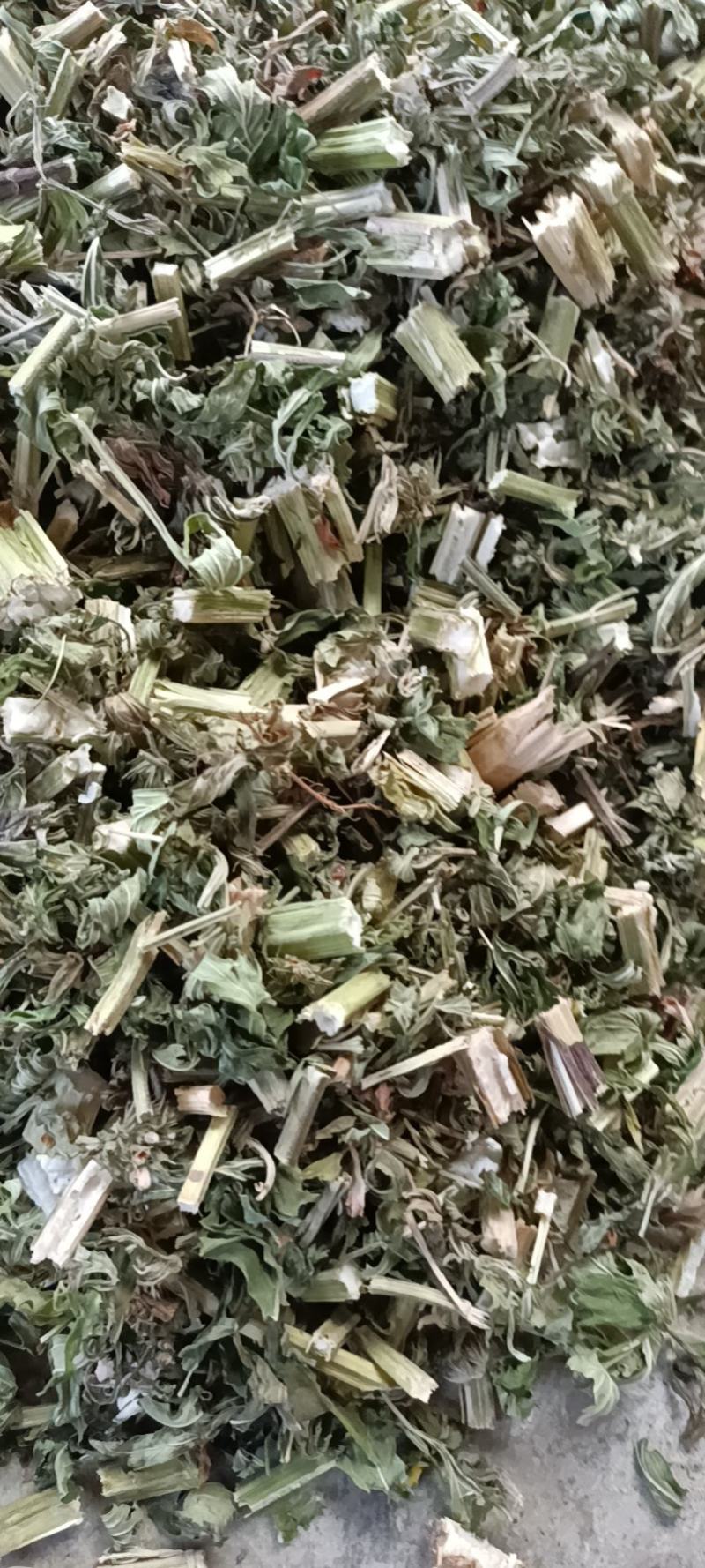 益母草