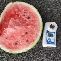 8424西瓜🍉