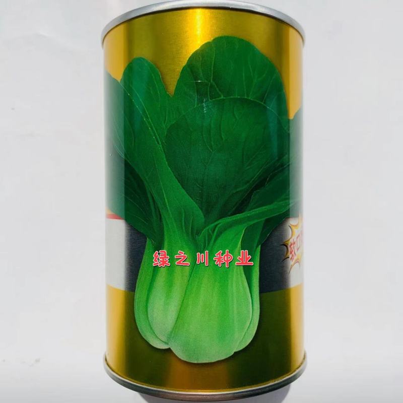 晓富珍品66好吃青梗菜种子基地，菜农专用