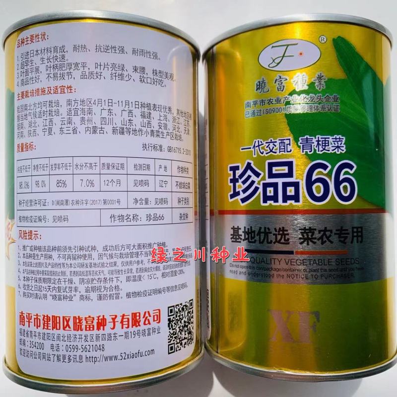 晓富珍品66好吃青梗菜种子基地，菜农专用