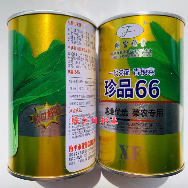 晓富珍品66好吃青梗菜种子基地，菜农专用