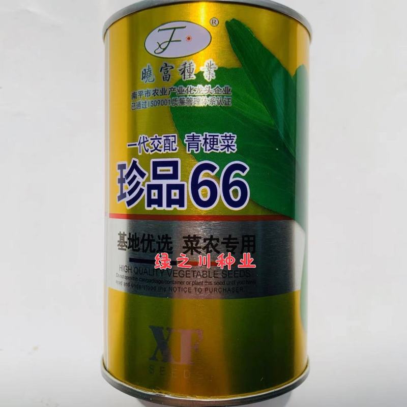 晓富珍品66好吃青梗菜种子基地，菜农专用