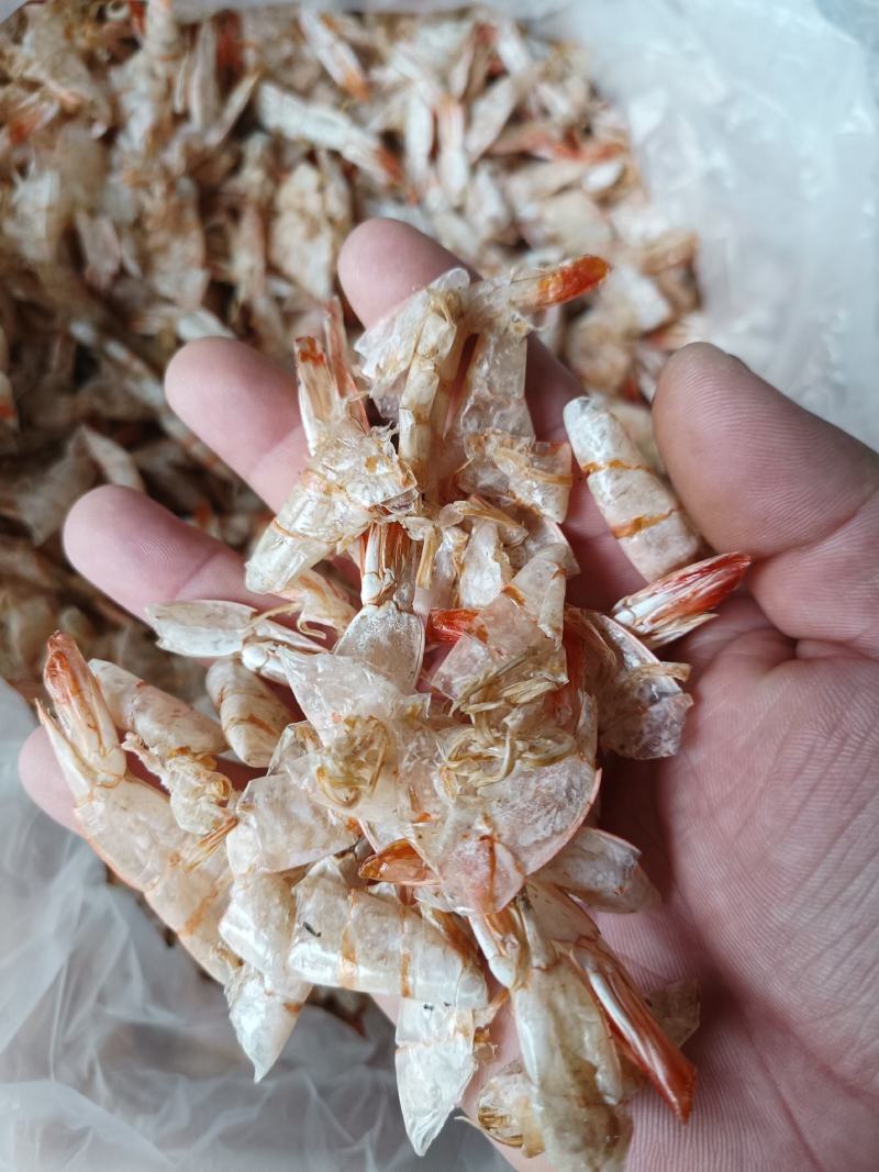 虾壳干