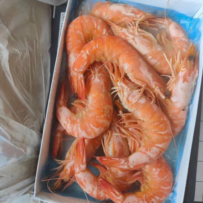 福建泉州熟虾南极磷虾大量有货可视频看货量大从优