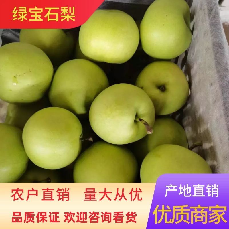 河北绿宝石梨皮薄多汁精品果发货坏单包赔