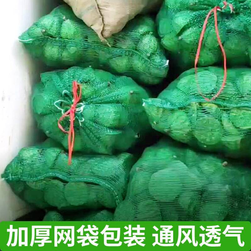 新鲜水果莲蓬莲子新鲜莲蓬现摘生吃莲子现摘现发当季水果产地