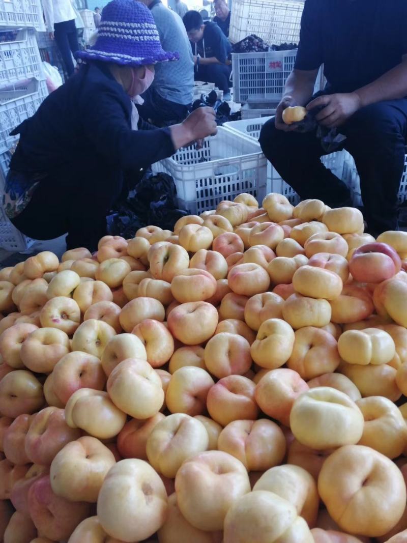 油蟠桃.毛蟠桃批发紫霞蟠桃大量上市口感脆甜货源充足