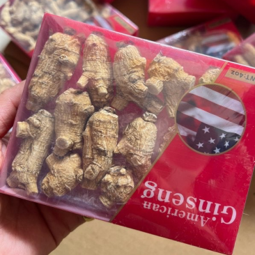 原装进口加拿大花旗参西洋参盒装100克大量批发