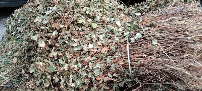 整株可切断鱼腥草新货全干折耳根干货可零售可批发可发快递