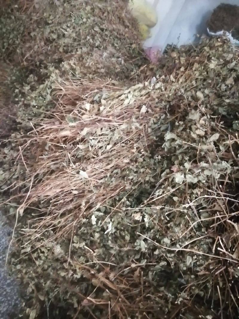 整株可切断鱼腥草新货全干折耳根干货可零售可批发可发快递