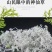张家界牙尖莓茶，碎茶，野生莓茶
