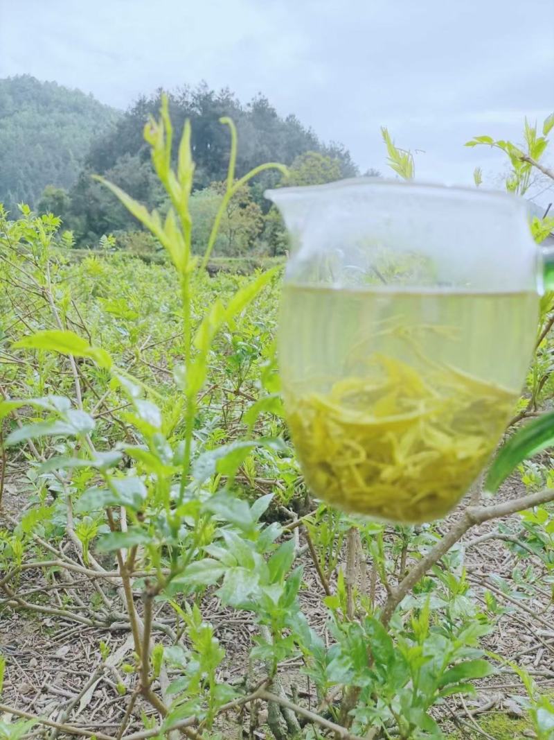 张家界牙尖莓茶，碎茶，野生莓茶