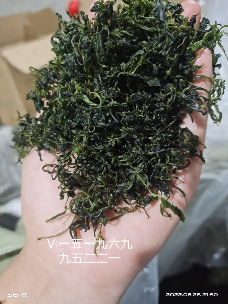 四川小叶苦丁茶，入口微苦回味甘甜的茶