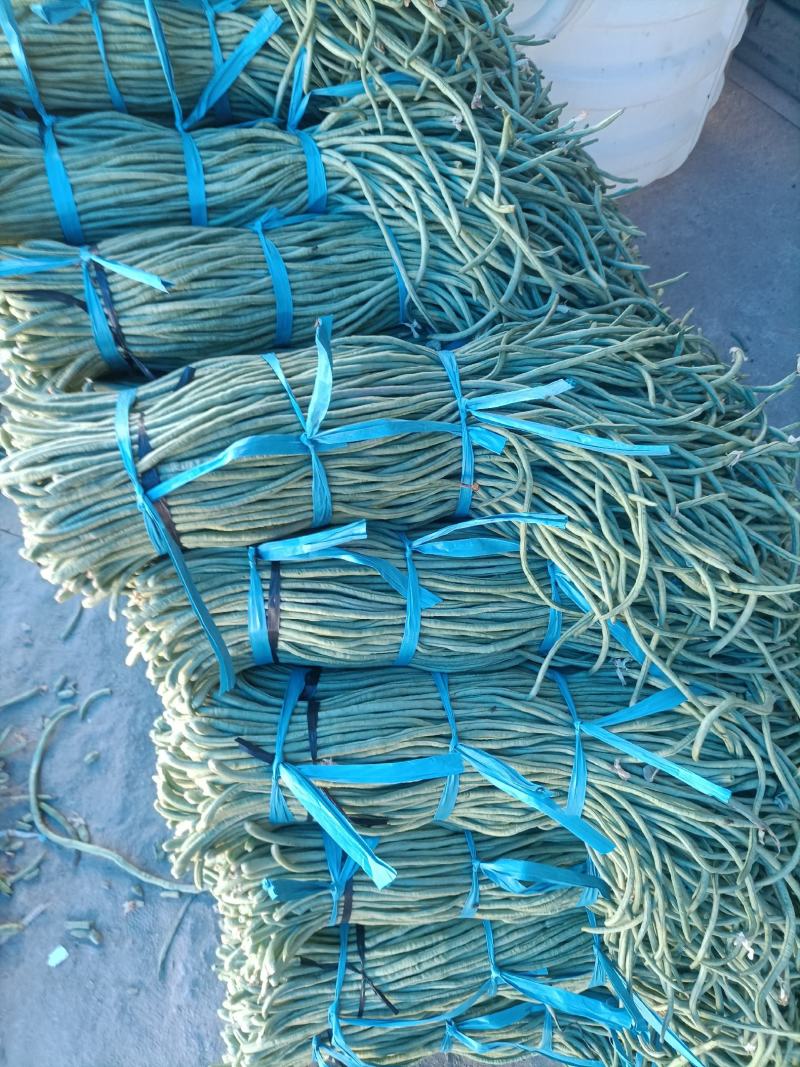 加工厂市场山东菏泽豆角大量上市中，精品豆角豇豆，需要联系