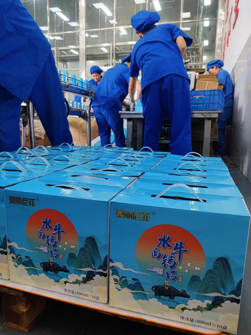 广西水牛奶高钙奶全国招代理有意向的老板来谈