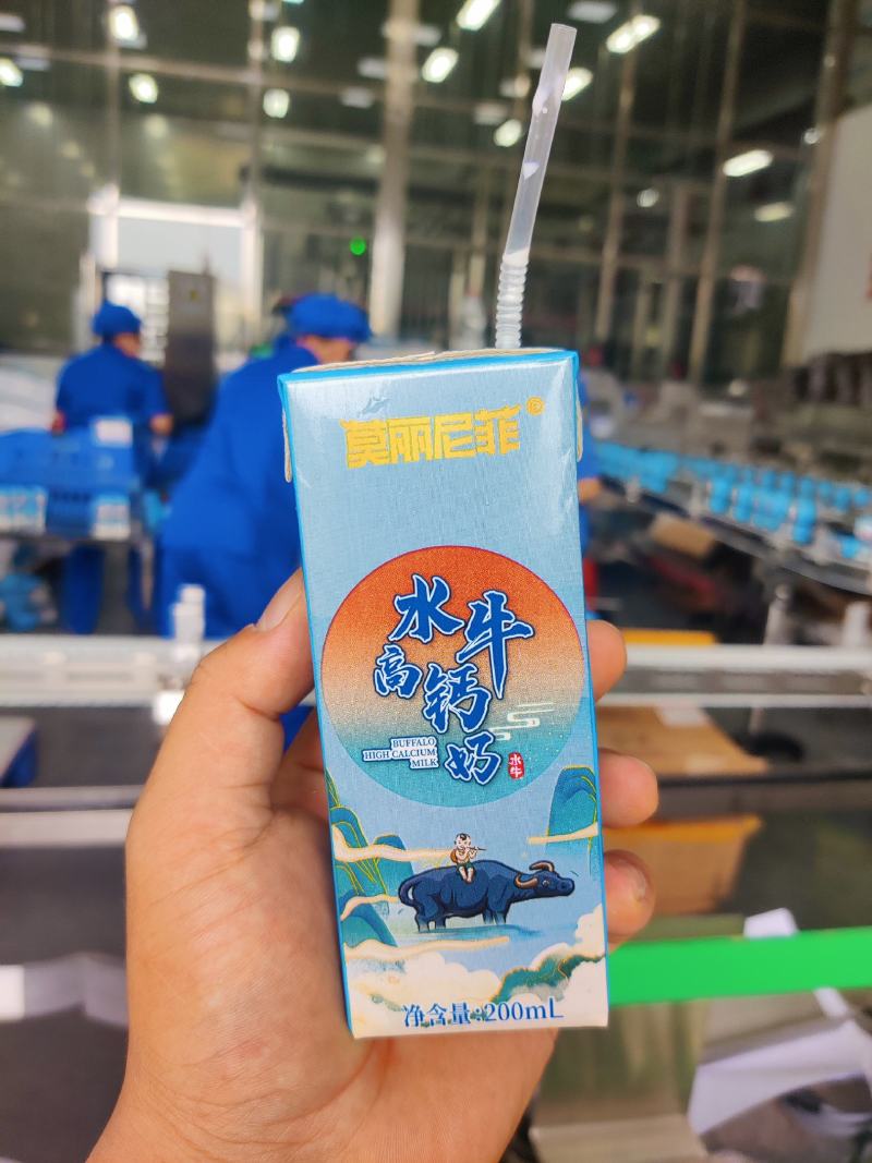 广西水牛奶高钙奶全国招代理有意向的老板来谈