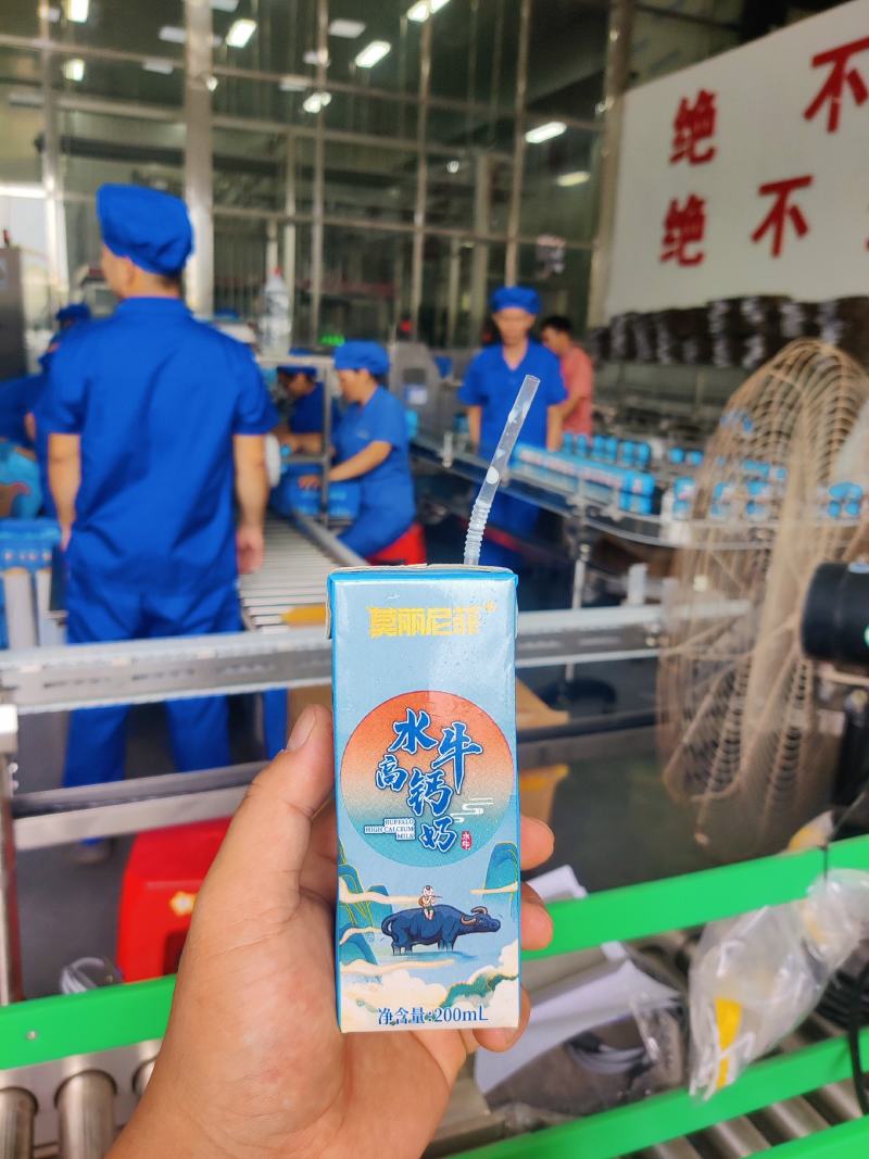 广西水牛奶高钙奶全国招代理有意向的老板来谈