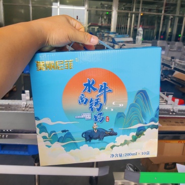 广西水牛奶高钙奶全国招代理有意向的老板来谈