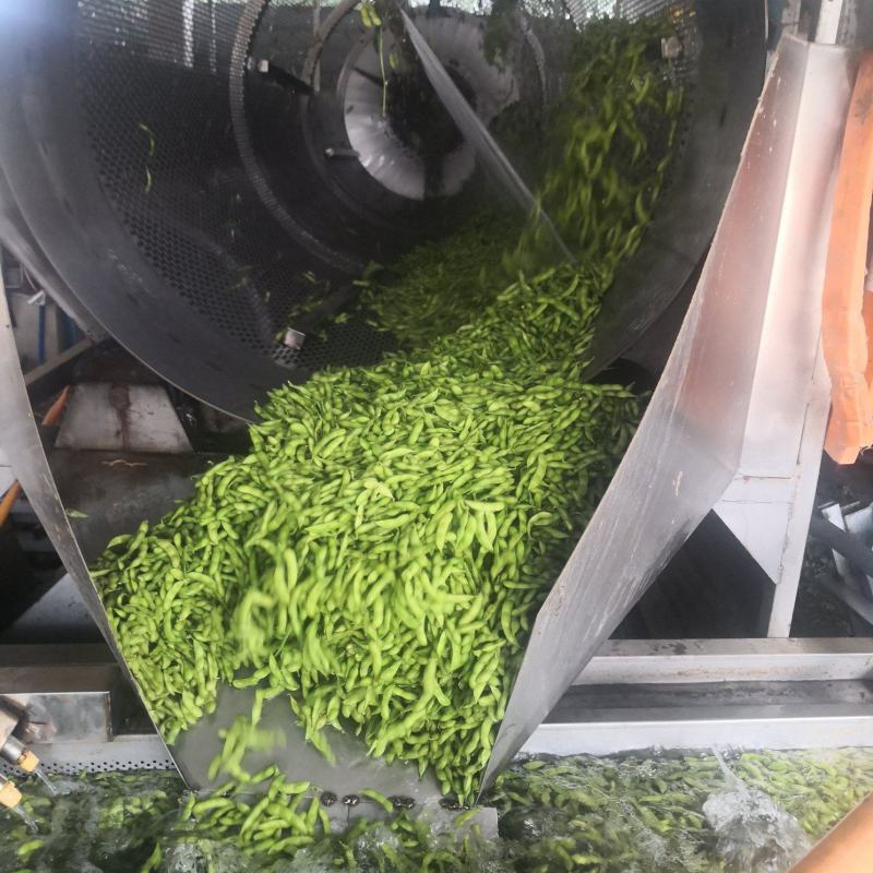 22年产地直发新茬毛豆，质量嘎嘎好，量大优先！