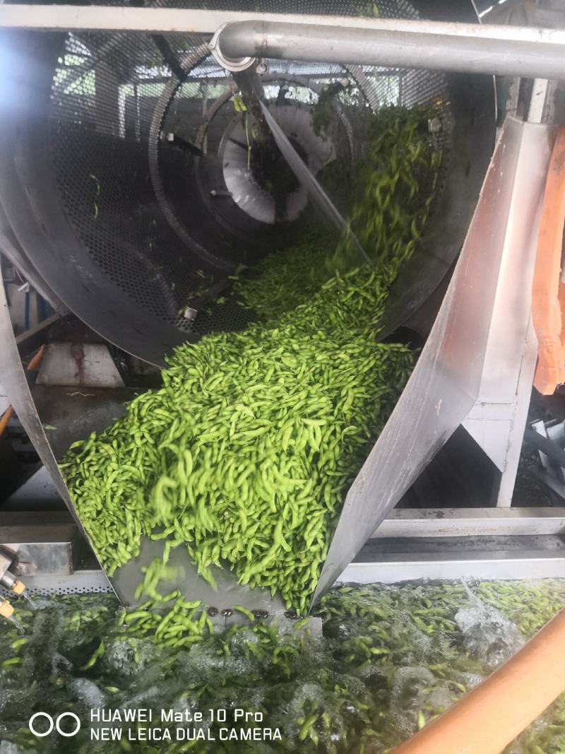 22年产地直发新茬毛豆，质量嘎嘎好，量大优先！