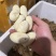 蛇蛋王锦蛇（大王蛇）黑眉锦蛇乌梢蛇都有