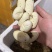 蛇蛋王锦蛇（大王蛇）黑眉锦蛇乌梢蛇都有