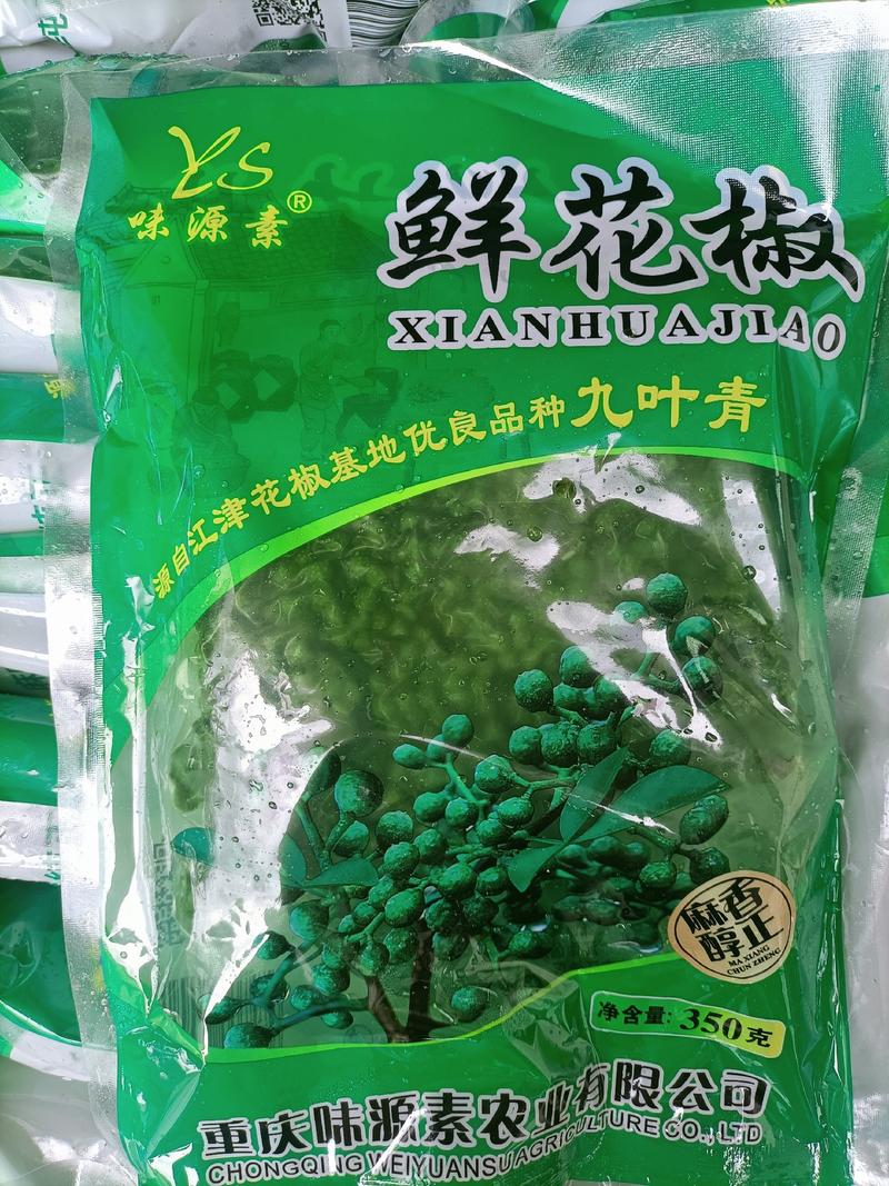 新鲜青花椒，汉源青花椒一件60斤，泡沫箱加冰发货赶集货源