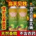 【送粘板】瓜果实蝇诱粘剂针蜂引诱诱捕器果树菜地害虫防治粘