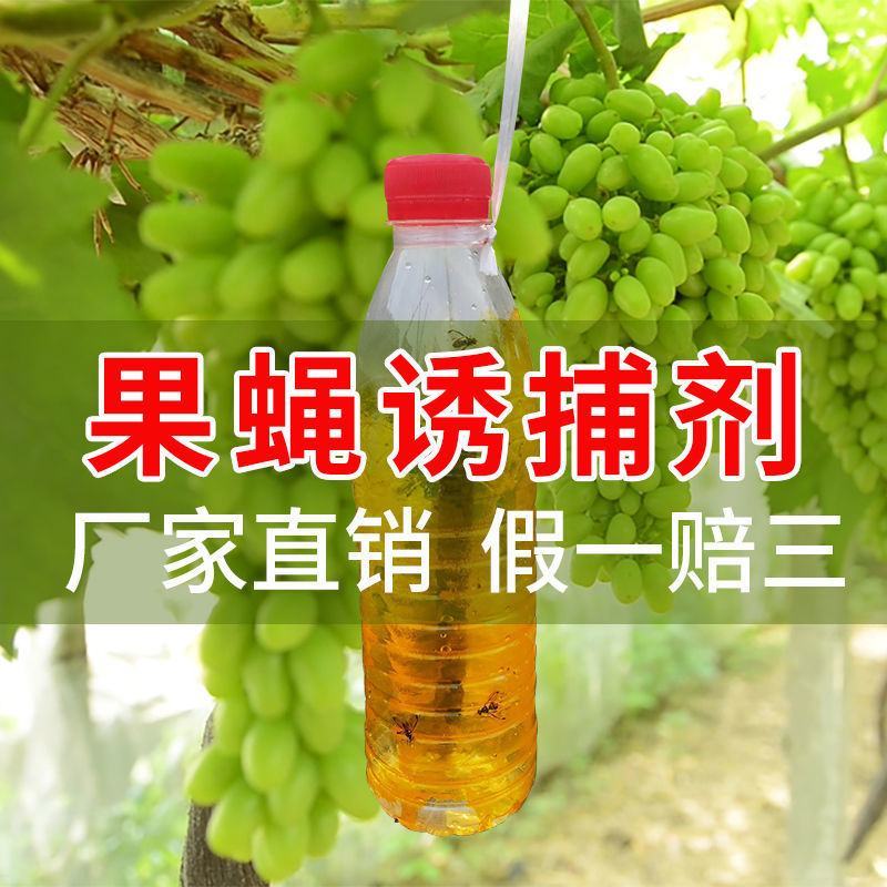 【送粘板】瓜果实蝇诱粘剂针蜂引诱诱捕器果树菜地害虫防治粘