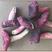 云南野生红菇小红菇红菌干货月子菇批发零售产地直供补血佳品