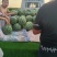 金城，甜王，东西美，